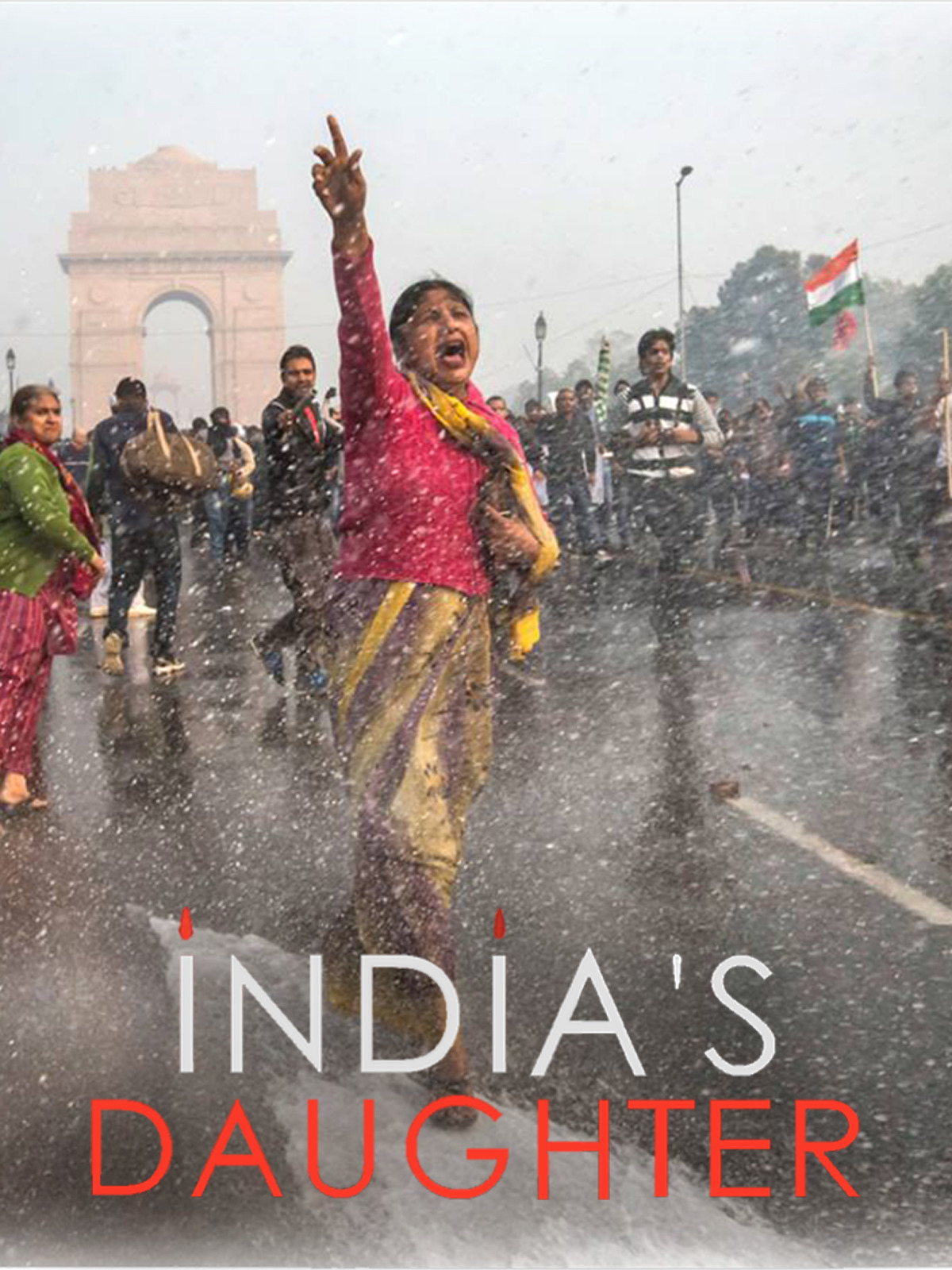 Indias Daughter (2015)